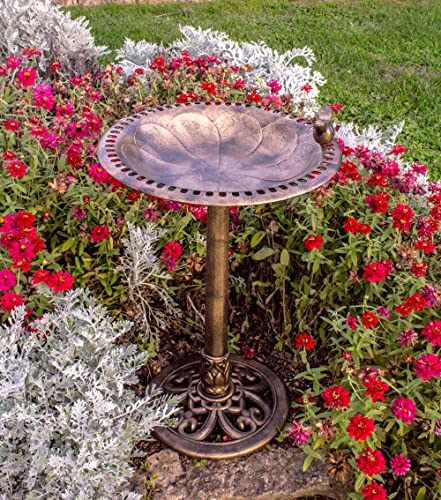BACKYARD EXPRESSIONS PATIO · HOME · GARDEN 912449-WB Outdoor Garden Bird Bath- Bronze- Weather Resistant Polyresin-30 Inch-Backyard Expressions BACKYARD EXPRESSIONS PATIO · HOME · GARDEN 912449-WB Outdoor Garden Bird Bath- Bronze- Weather Resistant Polyresin-30 Inch-Backyard Expressions