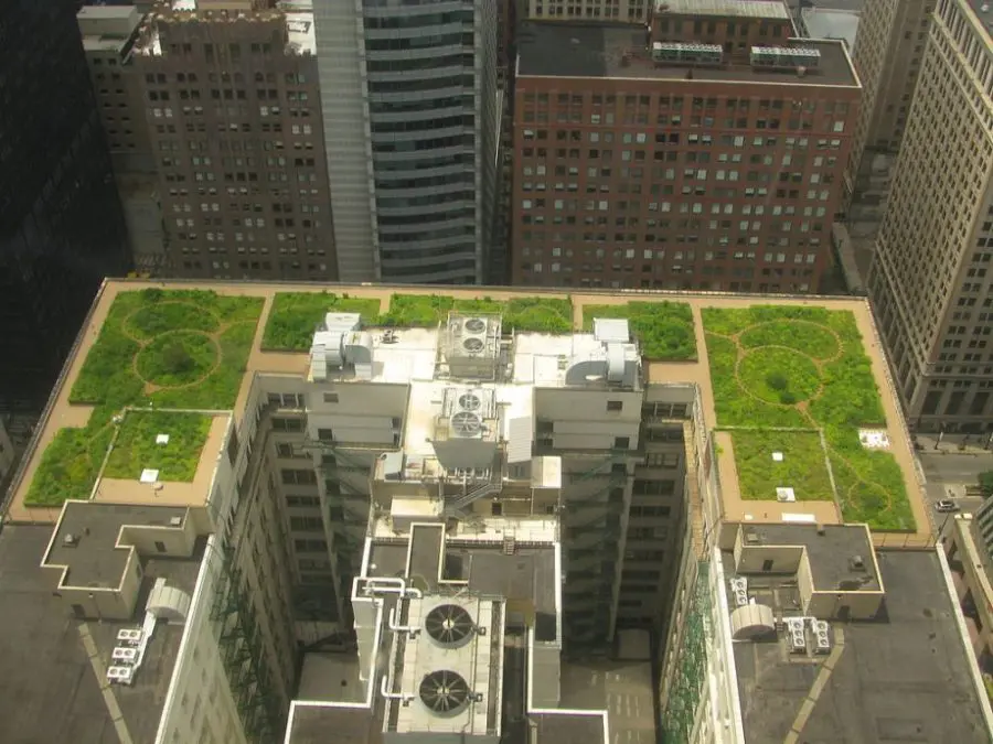Chicago City Hall Green Roof – Chicago, USA