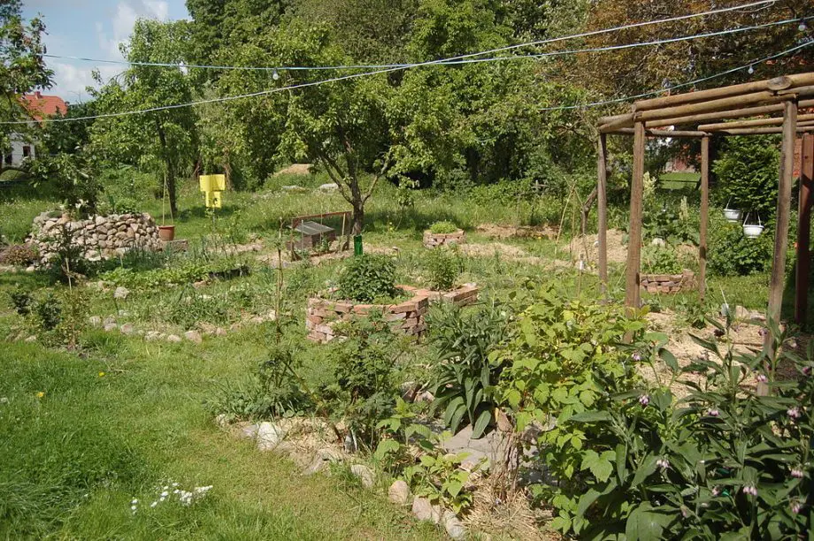 What is Permaculture Gardening?