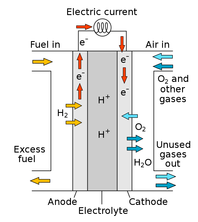 Hydrogen Fuel Cell Working Principle 