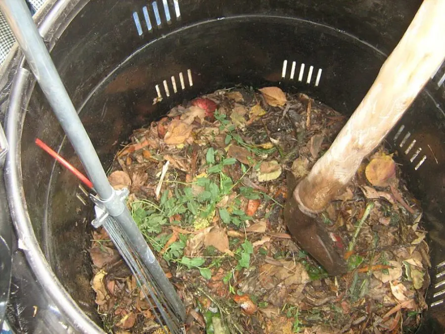 What Composting Looks Like