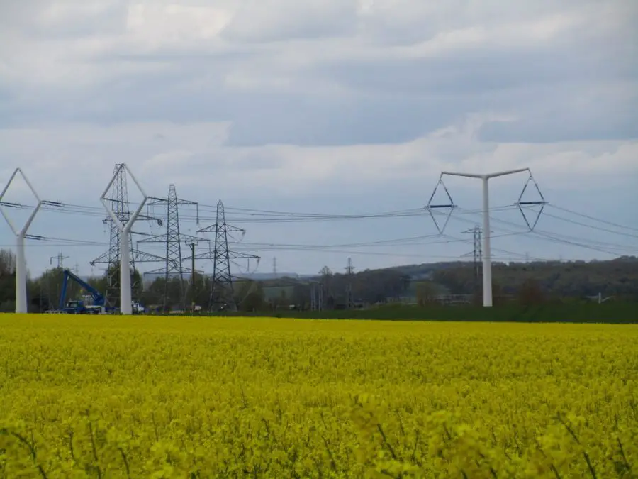Smart Grids in Clean Energy