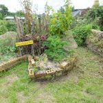 Permaculture Keyhole Garden