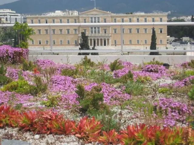 Benefits of Green Roofs - Treasury Syntagma