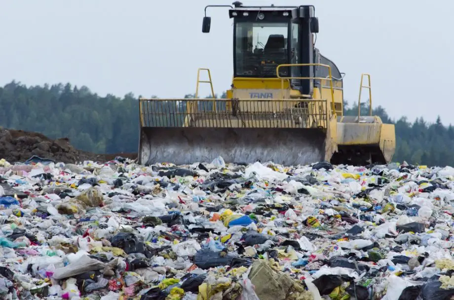 AI's Potential in Waste Management