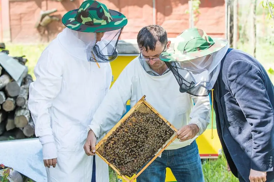 Honey Bee Colonies and beekeepers