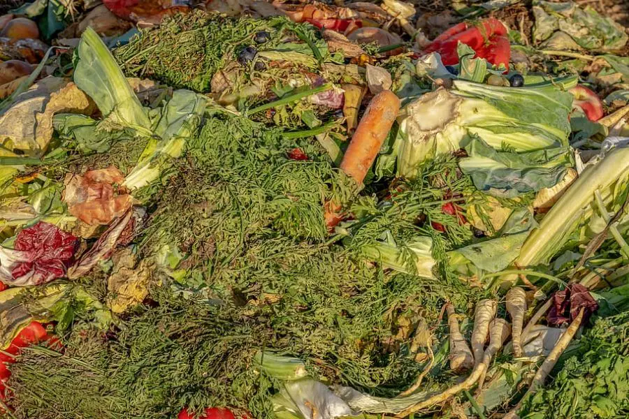 The Importance of Composting in Waste Reduction