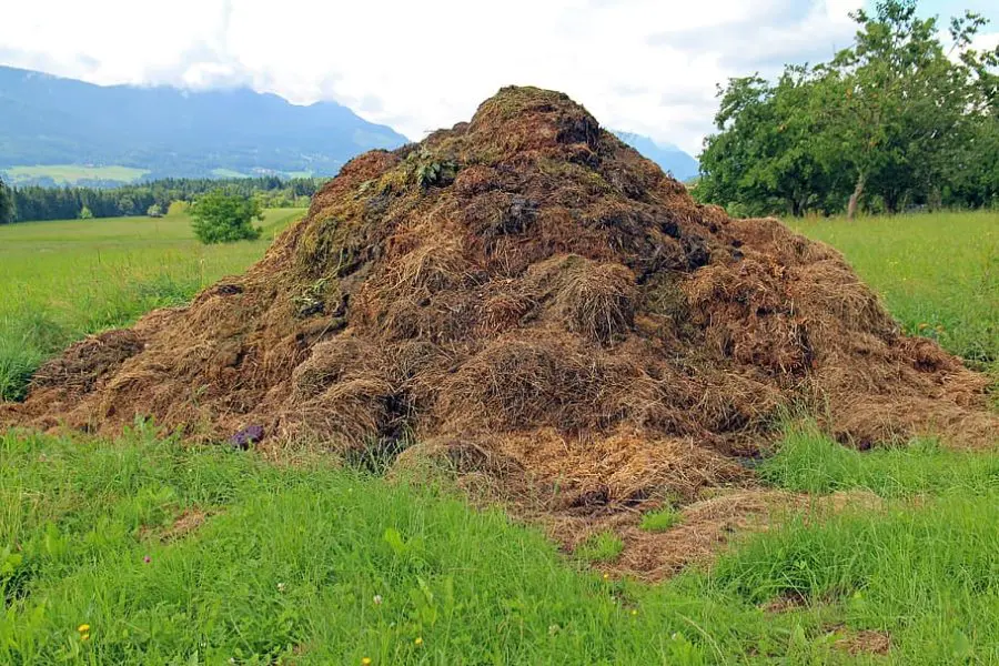 Environmental Benefits of Composting - Compost Heap
