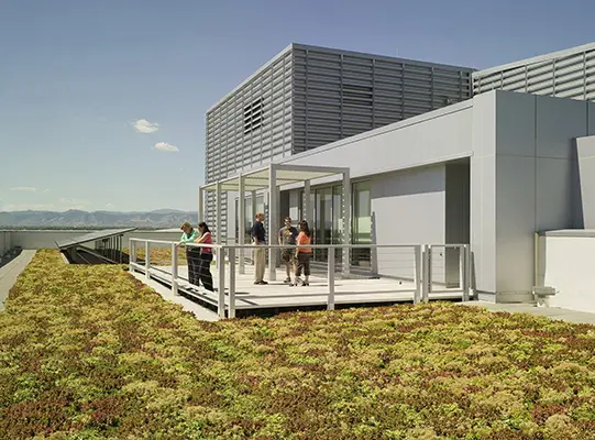 All About Green Roofs