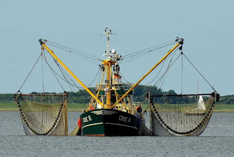 Can Sustainable Fishing Help the Environment?