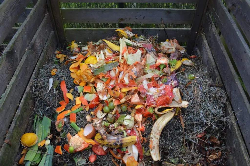 The Environmental Impact of Composting