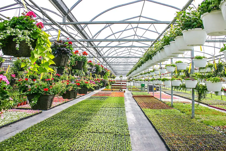 How Greenhouses Enable Year-round Farming