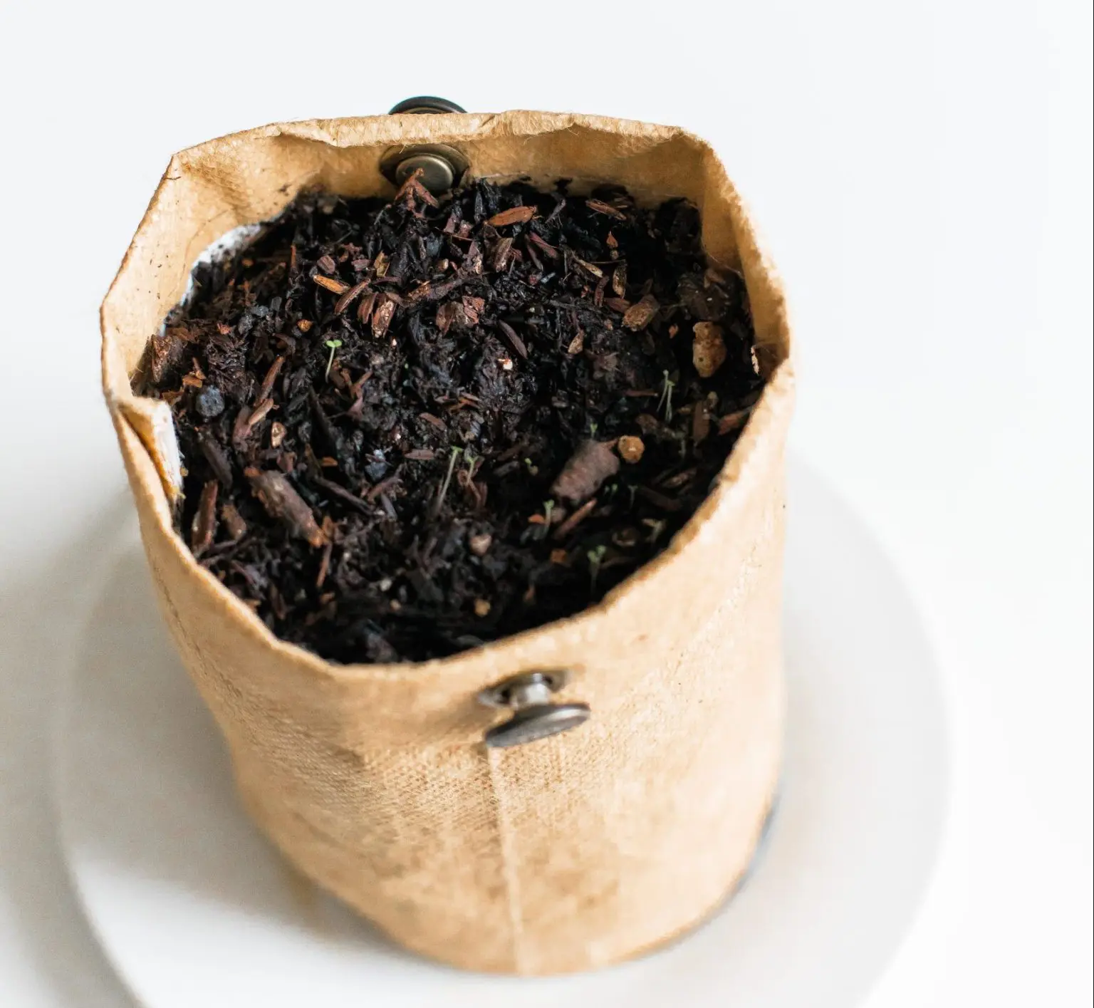 Using Compost in Container Gardens: 7 Tips and Tricks - Sustainably Forward