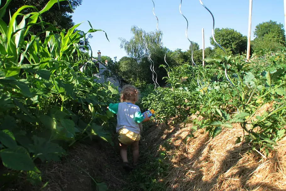 Hugelkultur Methodology: Remaining Raised Mattress Gardening