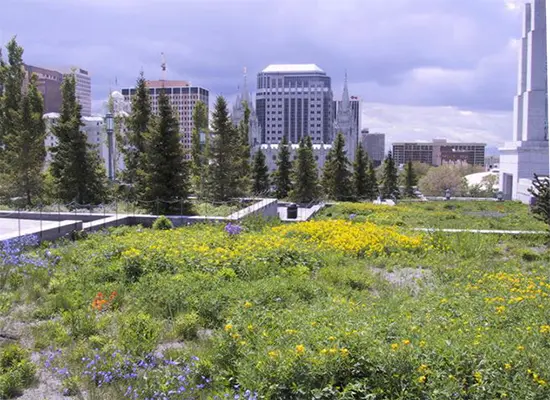Reaping the Societal and Psychological Benefits of Green Roofs