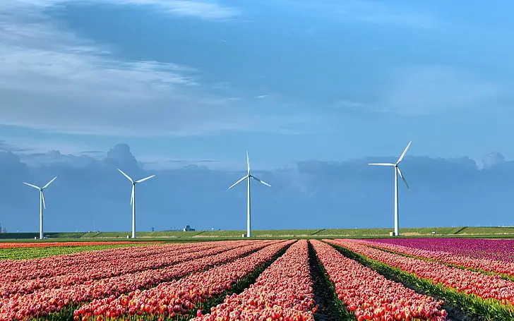 Wind Power Sustainable Agriculture