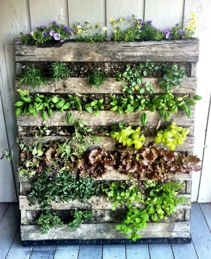 Pallet Planter