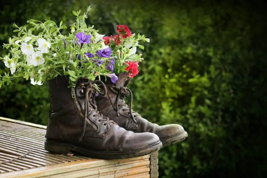 boot planter