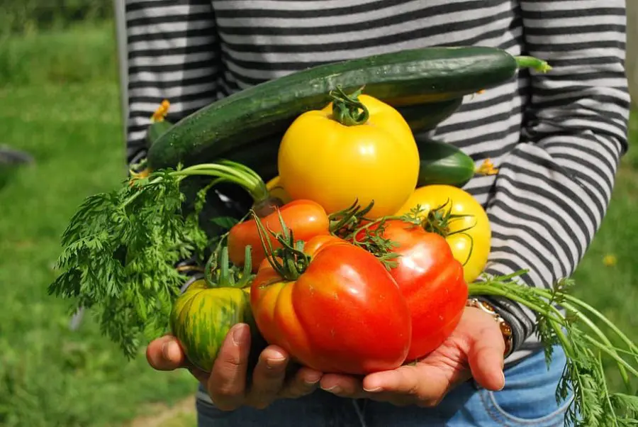 How to Get Started with Eating Locally